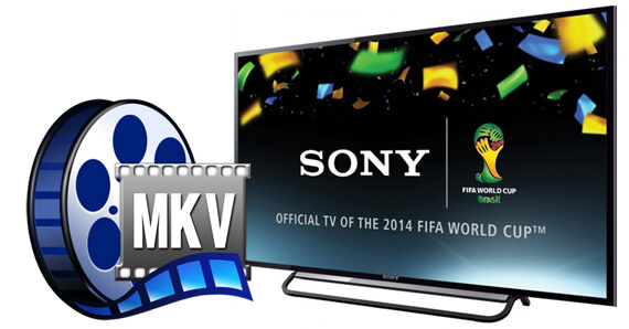 MKV media prepared for compatible video playback